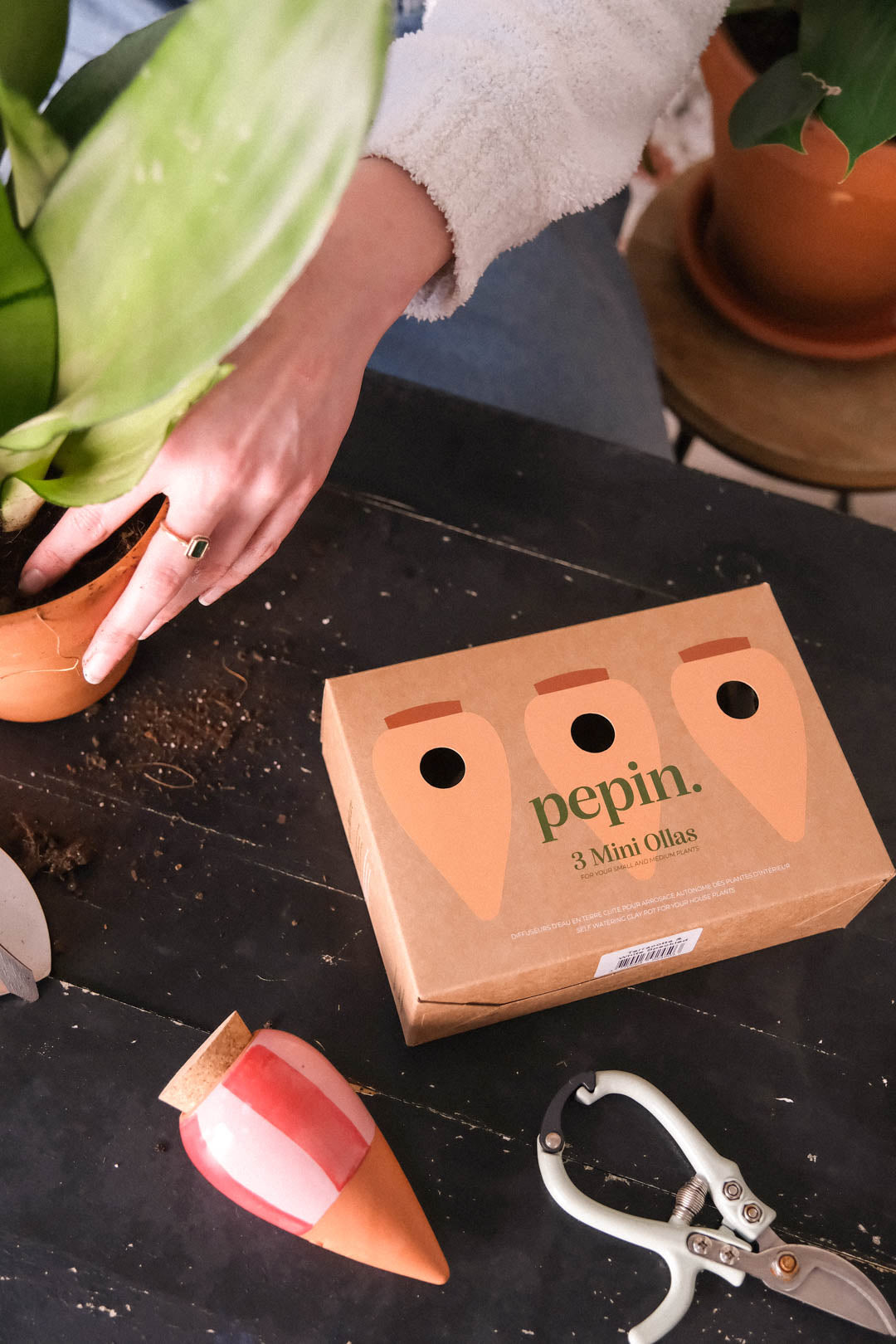 Oya - Orange and blue striped