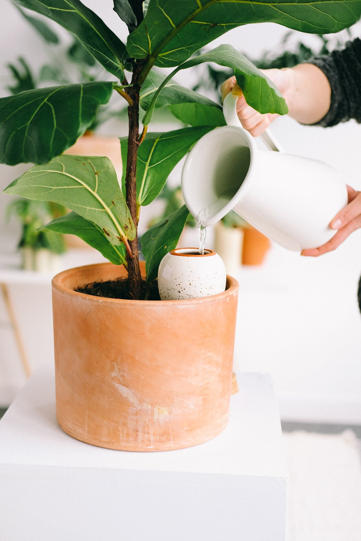 Oya - Orange and blue striped